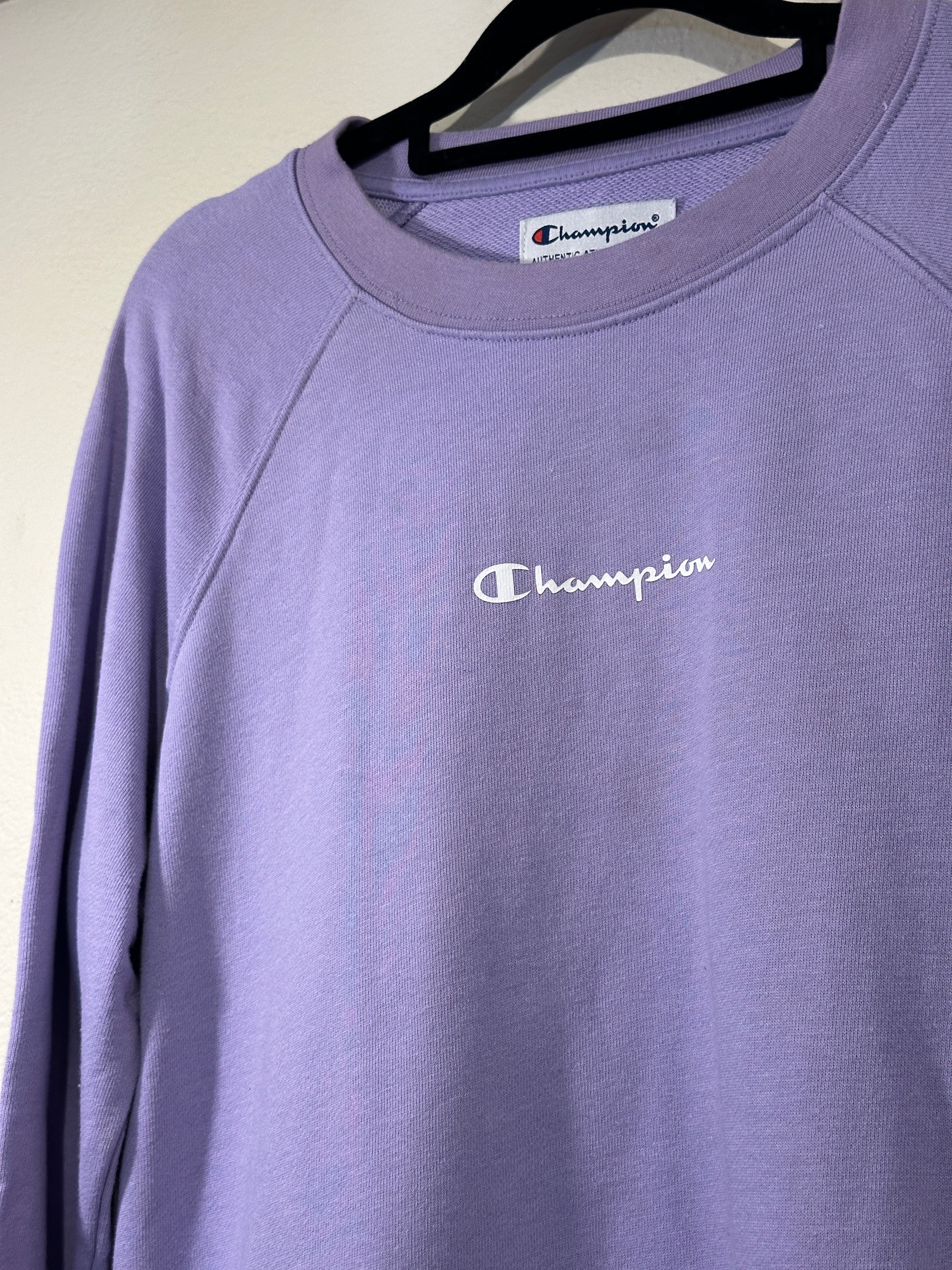 Champion Sweater (Vintage) Ladies L