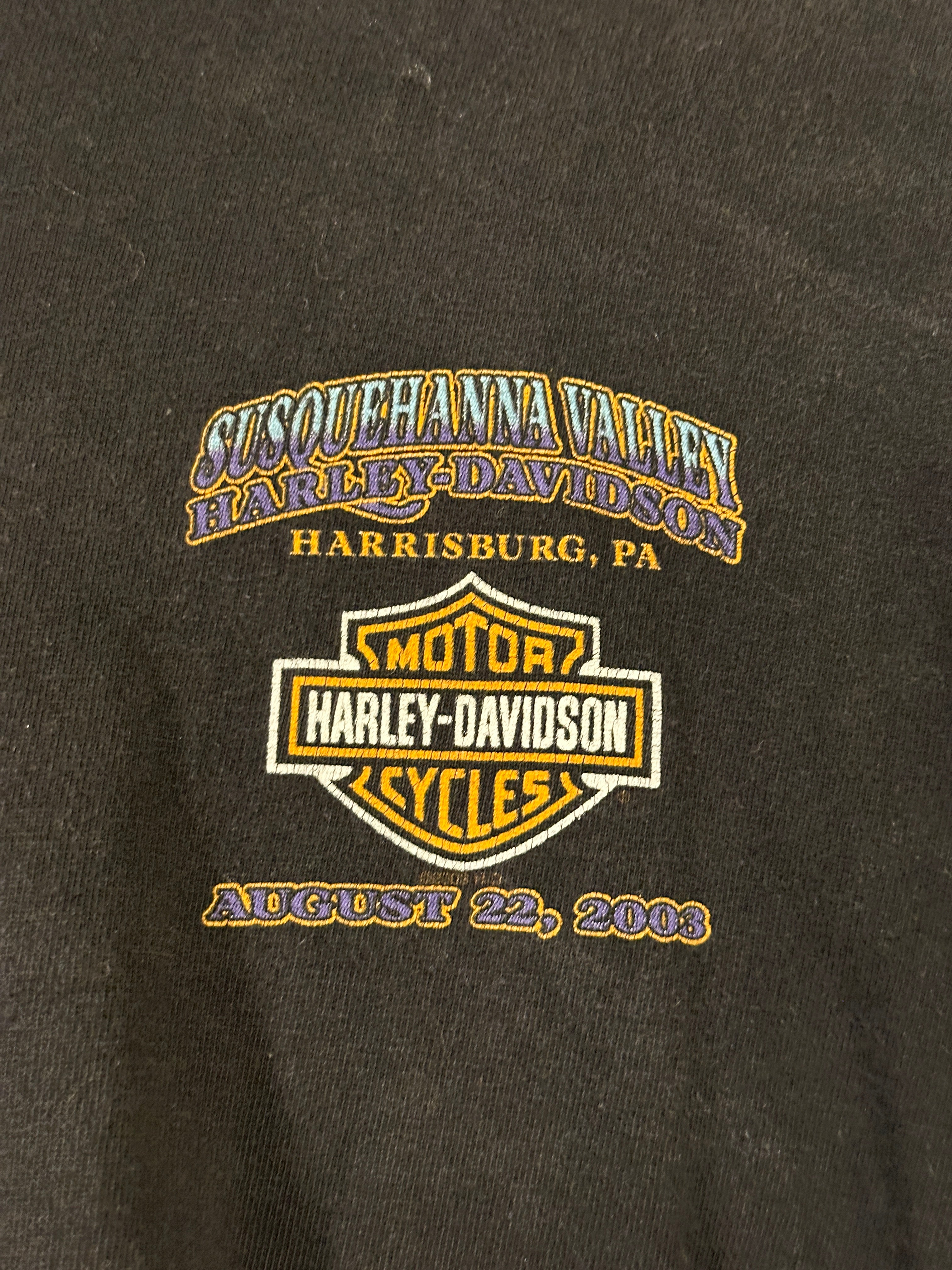 Harley-Davidson Motorbikes Tee Susquehanna Valley Harrisburg PA (Vintage) Men's 3XL