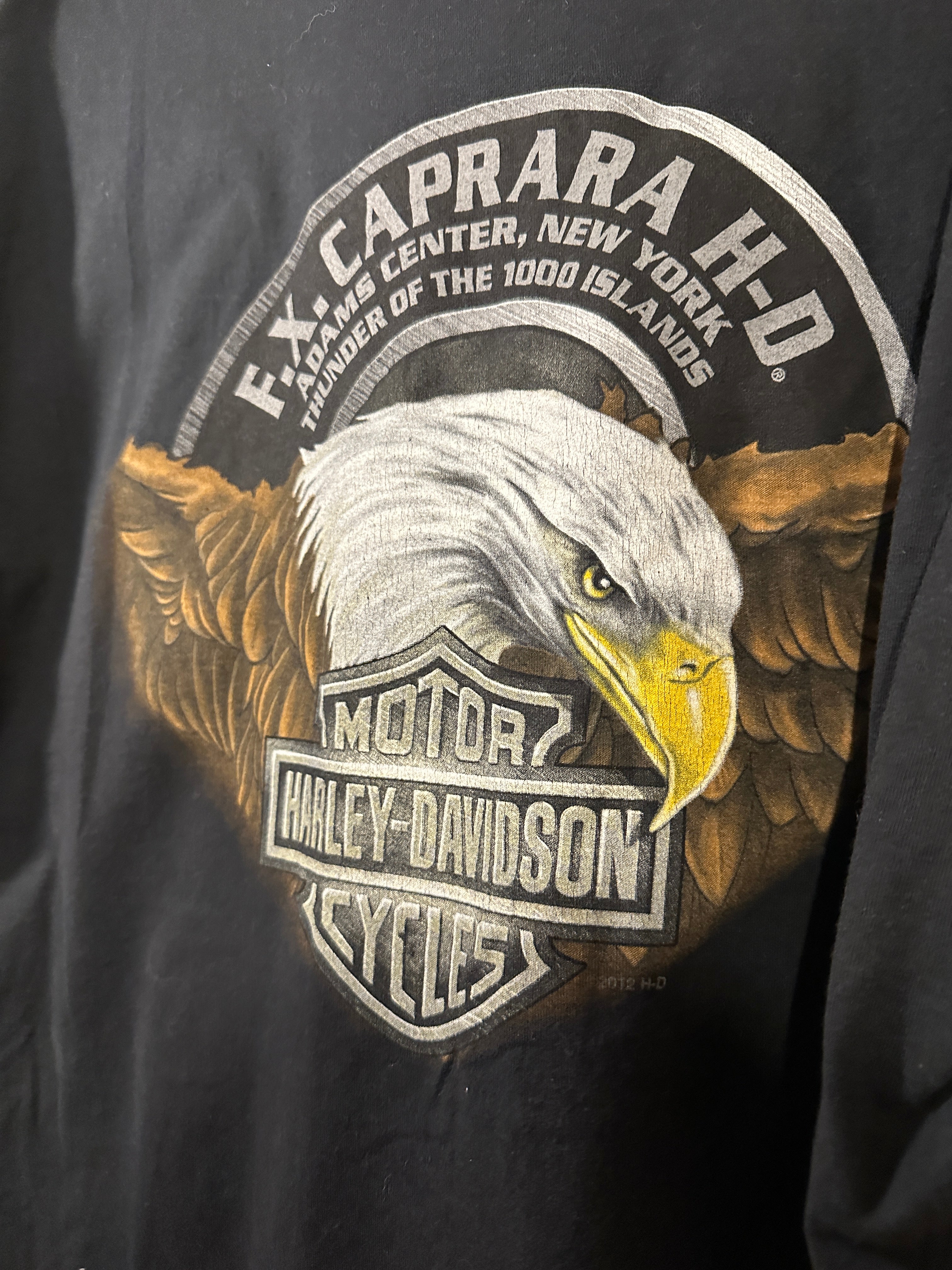 Harley-Davidson Motorbikes Tee Thunder of the 1000 Islands (Reclaimed) Men's XL