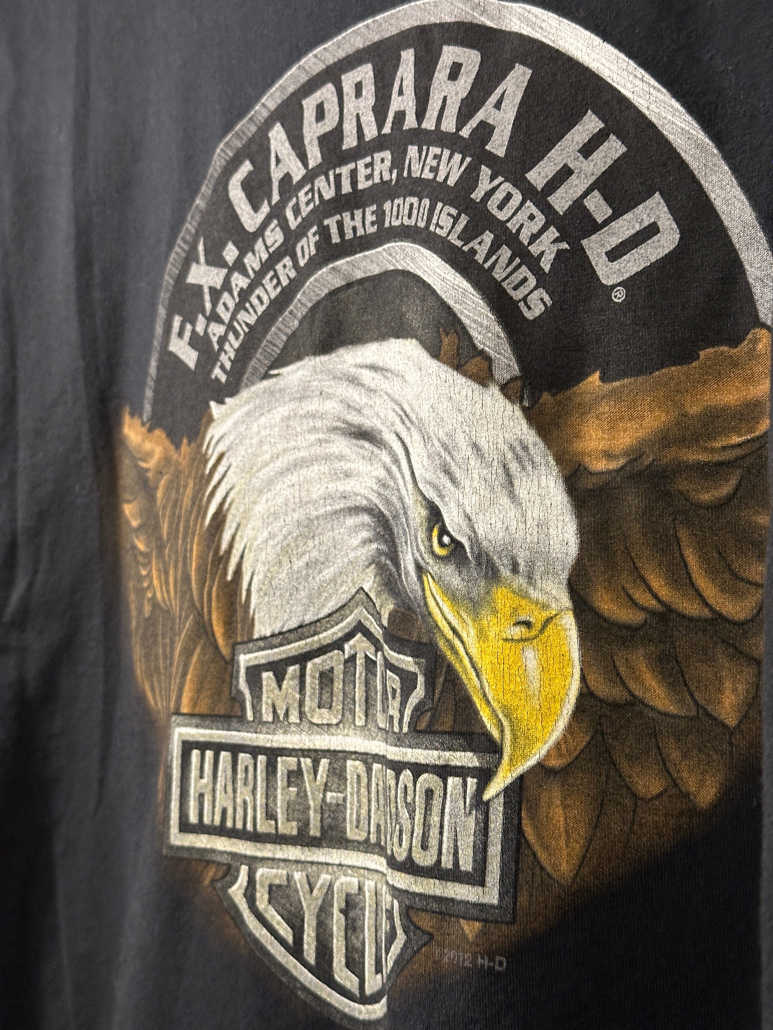 Harley-Davidson Motorbikes Tee Thunder of the 1000 Islands (Reclaimed) Men's XL