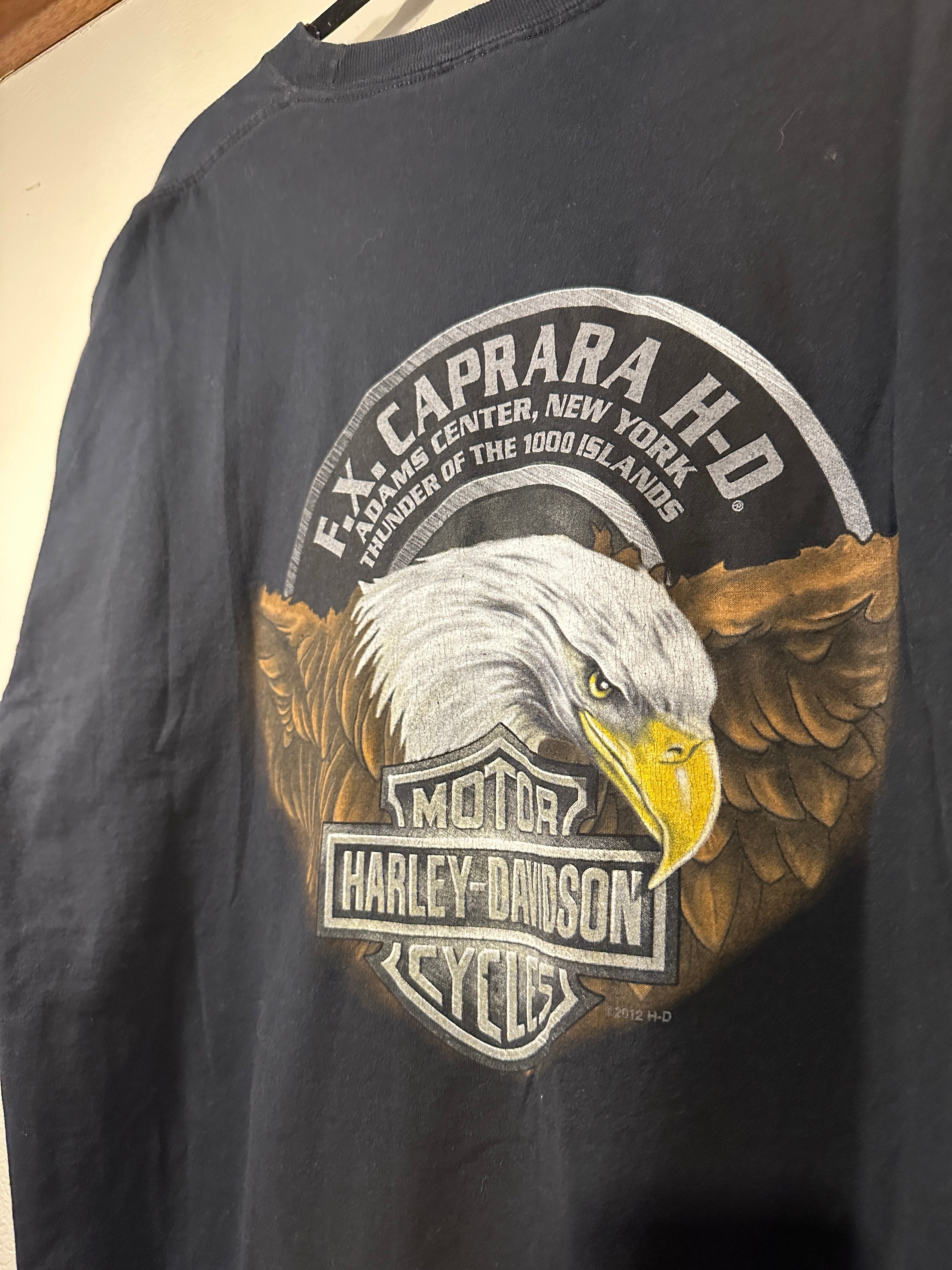 Harley-Davidson Motorbikes Tee Thunder of the 1000 Islands (Reclaimed) Men's XL