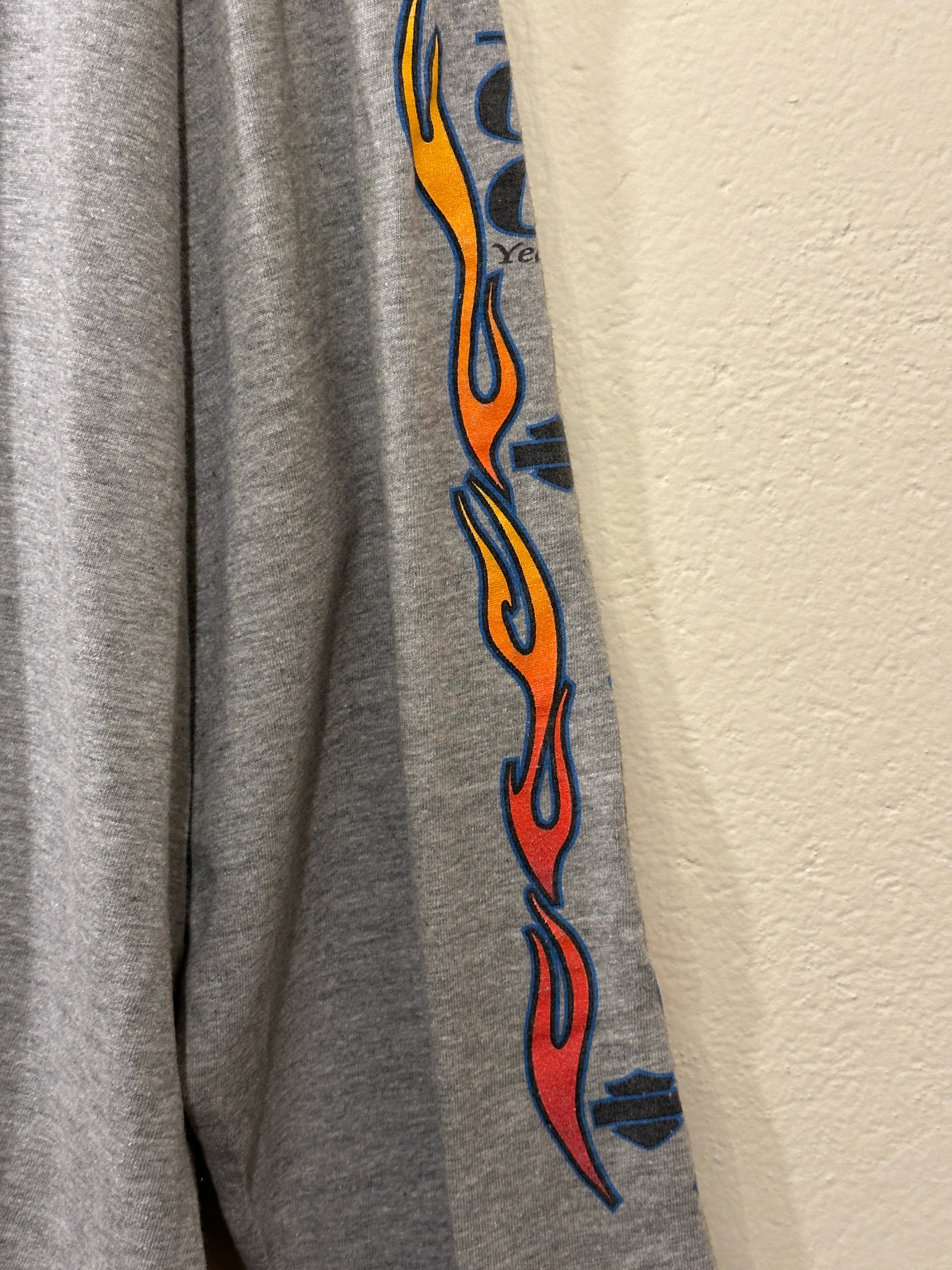 Harley-Davidson Motorbikes Long Sleeve Tee 100 Years Spitzies (Vintage) Men's XL